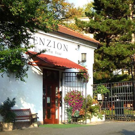Penzion Na Starem Brne Brünn  Kültér fotó